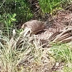 Meet your Posher, Zak